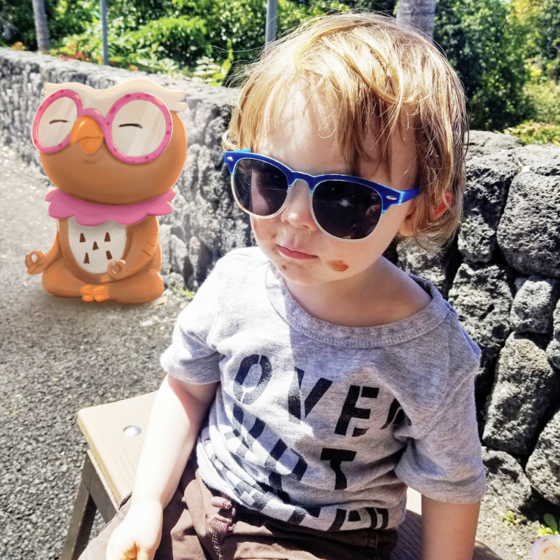 Celebrate Your Kiddo's Milestones