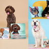 Multiple custom dog books from Hooray Heroes with illustrated covers featuring dogs named Roxie, Luna, Kawa, and Penny, paired with their real-life dog models which is a totally custom made gift.