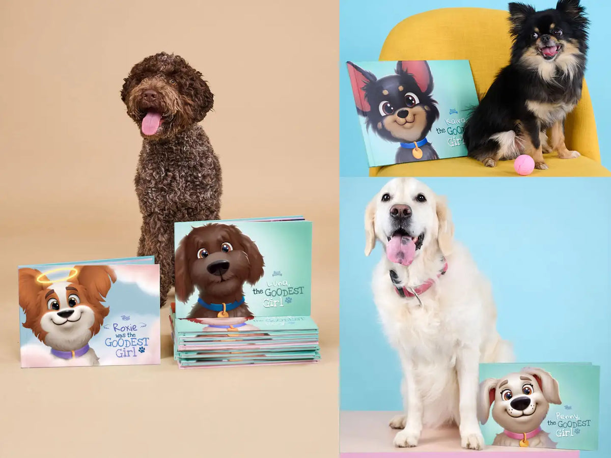 Multiple custom dog books from Hooray Heroes with illustrated covers featuring dogs named Roxie, Luna, Kawa, and Penny, paired with their real-life dog models which is a totally custom made gift.