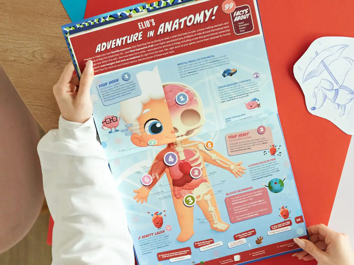 A spread about human anatomy from custom book of 1000 facts that is also a great Christmas gift for kids.
