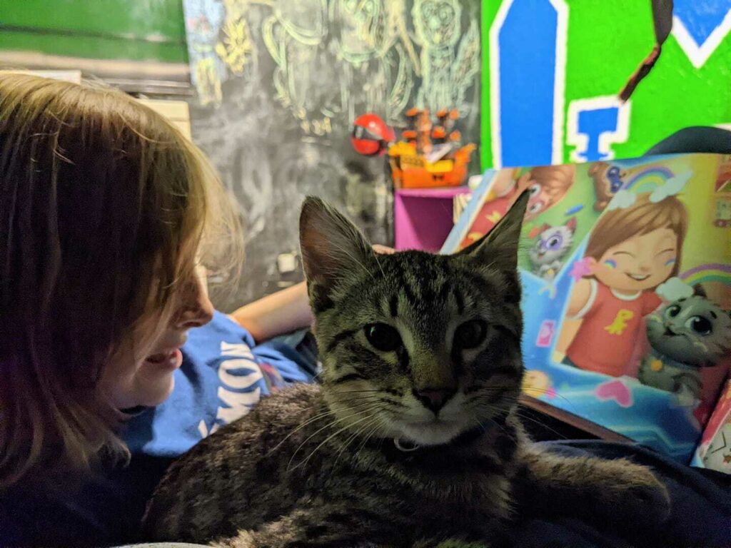 A child and their cat readins a Hooray Heroes personalized book for cats.
