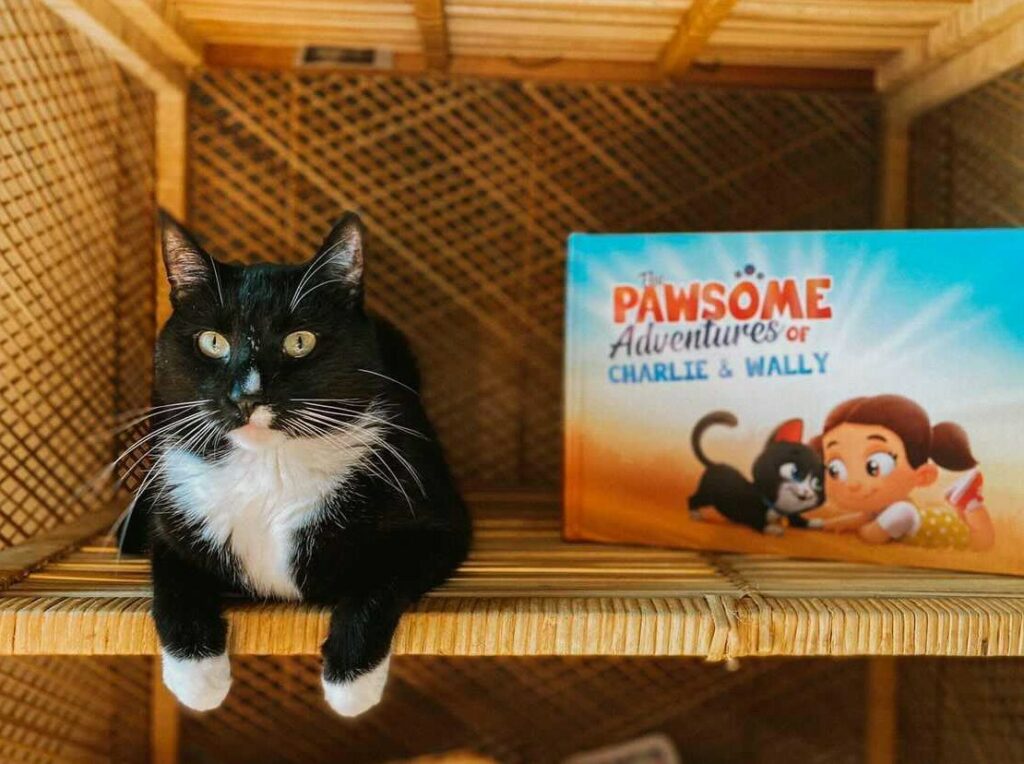 A black cat sitting next to a Hooray Heroes personalized book for pets.