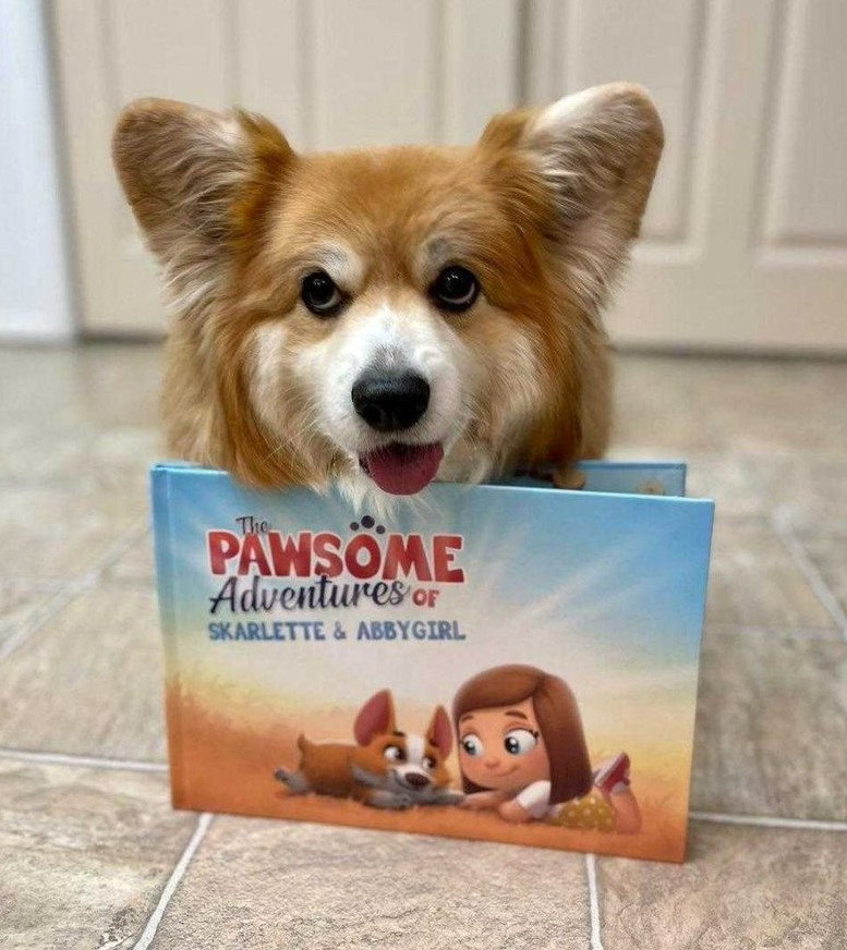 A corgi sitting next to a Hooray Heroes personalized book for pets.