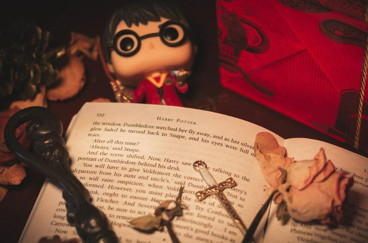 A Harry Potter book and figurine along with a dried rose and magic paraphernalia. 