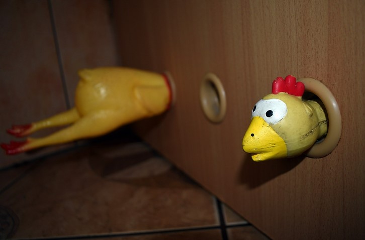 A rubber chicken that has been squashed into a hole in a door.